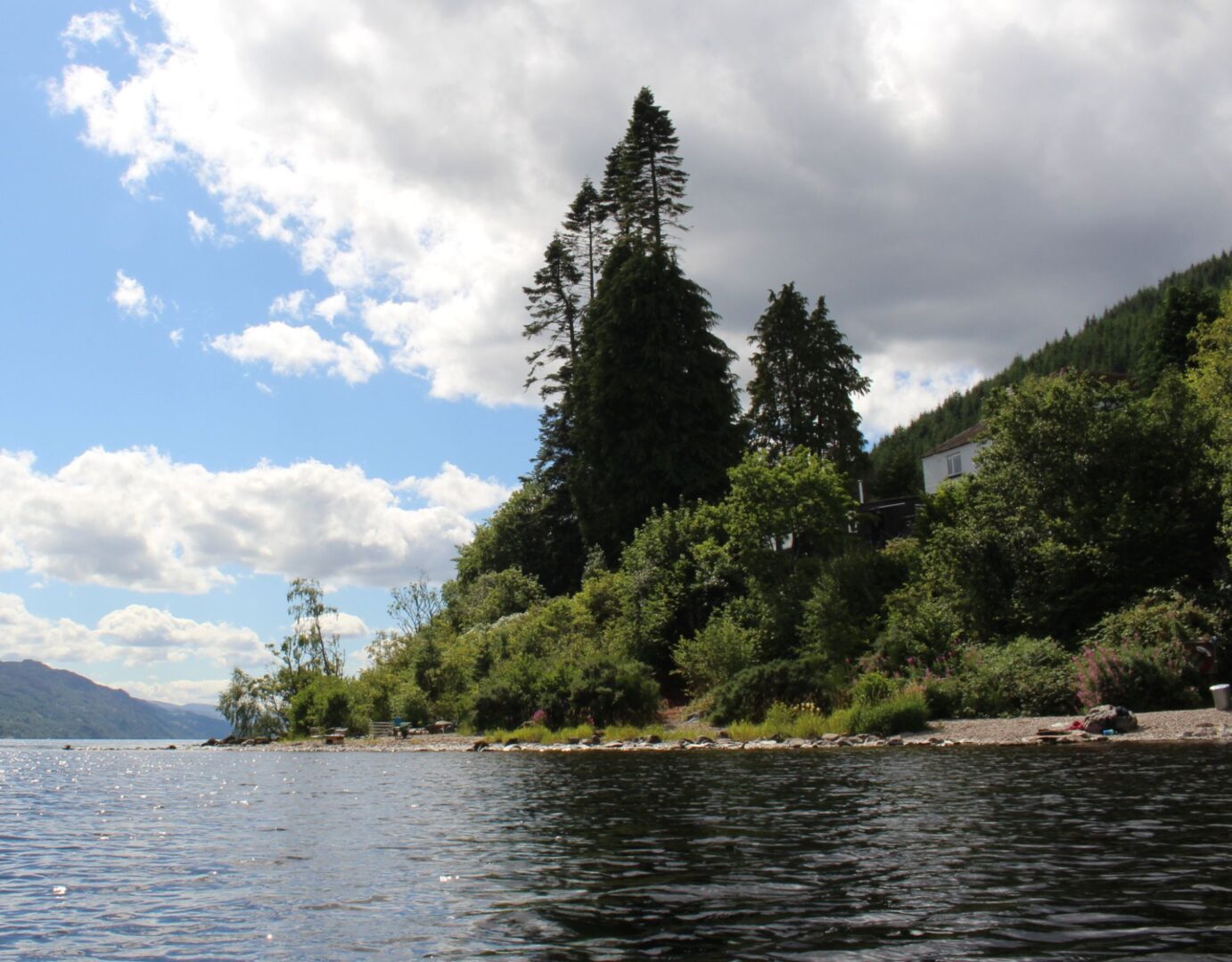 Lochside from the Loch