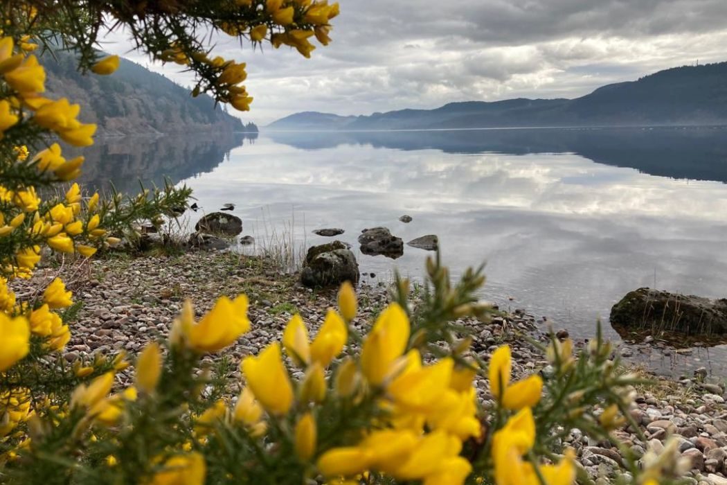 Lochside Hostel - Loch Ness- Beach